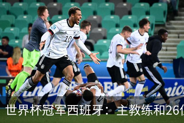 世界杯冠军西班牙：主教练和26位球员出生在哪些城市？