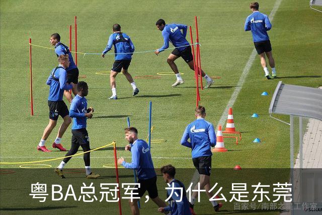 粤BA总冠军，为什么是东莞?